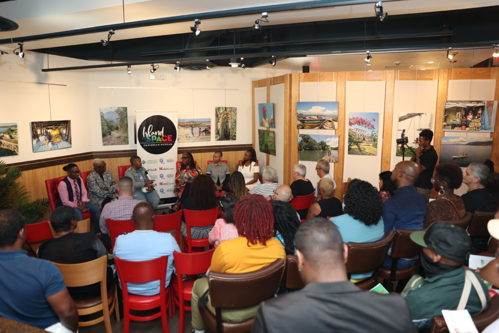 All eyes on moderator Nik Harris of Black LGBTQ+ Liberation, INC. (BLINC)